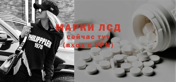 стафф Алзамай
