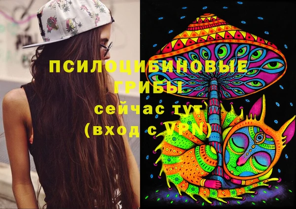 амф Алексеевка