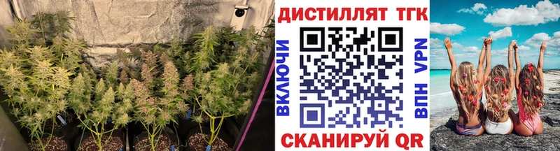 ТГК концентрат  маркетплейс наркотические препараты  Арамиль 