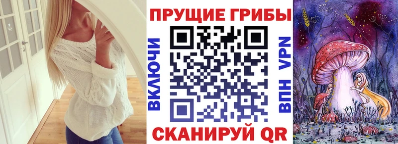 Псилоцибиновые грибы Psilocybine cubensis  Арамиль 
